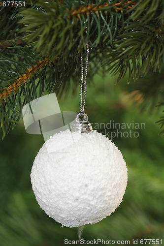 Image of Christmas tree decoration