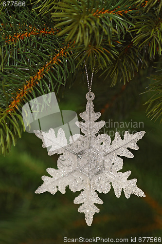 Image of Chrismas star