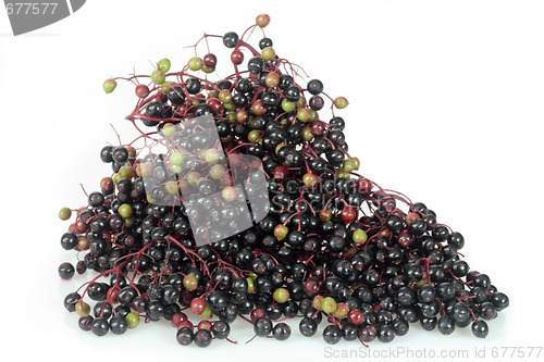 Image of Elderberries