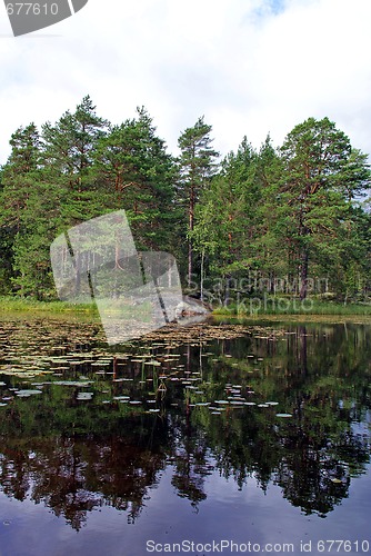 Image of Pine Lake Symmetry