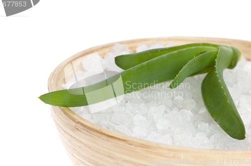 Image of bath salt and aloe vera