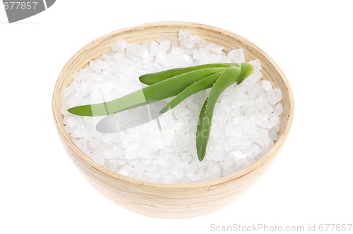 Image of bath salt and aloe vera