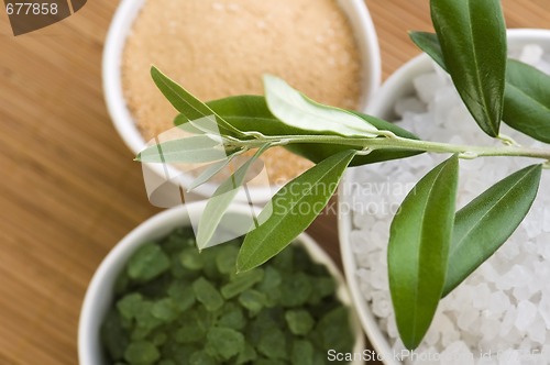 Image of fresh olive branch and bath salt. spa