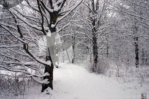 Image of winter