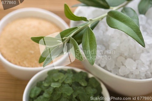 Image of fresh olive branch and bath salt. spa