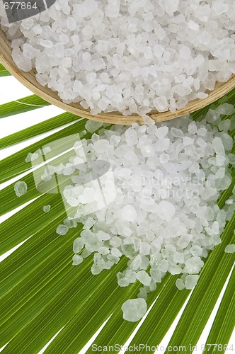 Image of bath salt with palm leaf