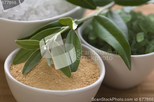 Image of fresh olive branch and bath salt. spa