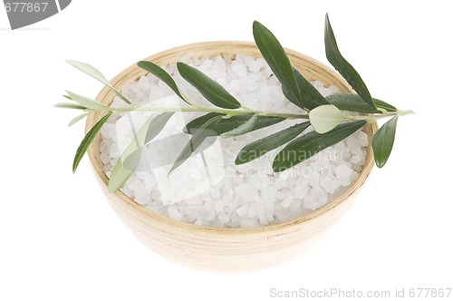 Image of fresh olive branch and bath salt. spa