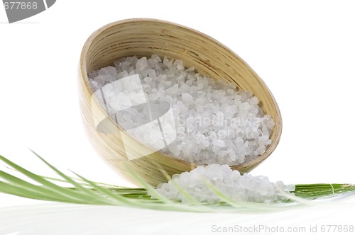 Image of bath salt