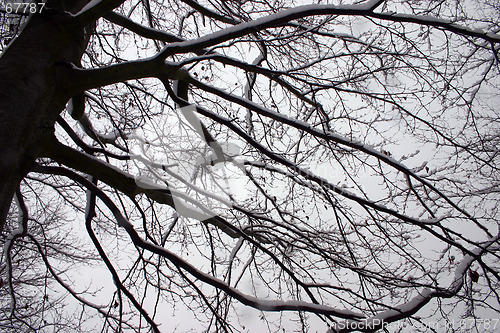 Image of winter