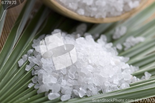 Image of bath salt and palm leaf