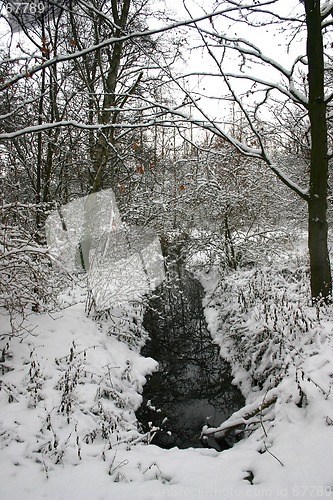 Image of brook on winter