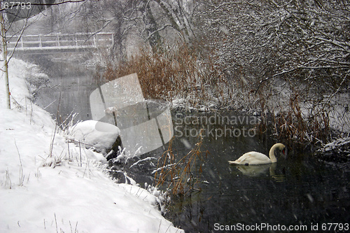 Image of brook on winter