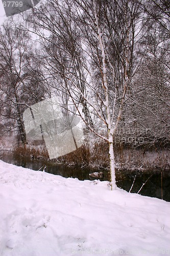 Image of brook on winter