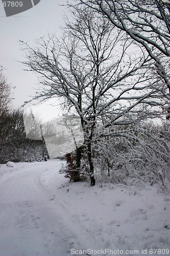 Image of winter