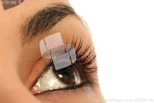 Image of woman eye