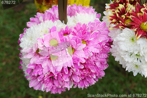 Image of Flowers