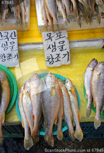 Image of Fish market