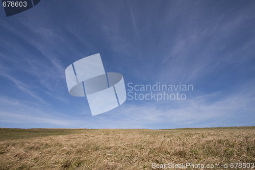 Image of Field landscape