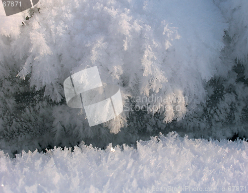 Image of Fluffy Icicles