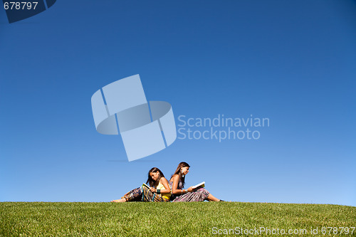 Image of Reading at the park