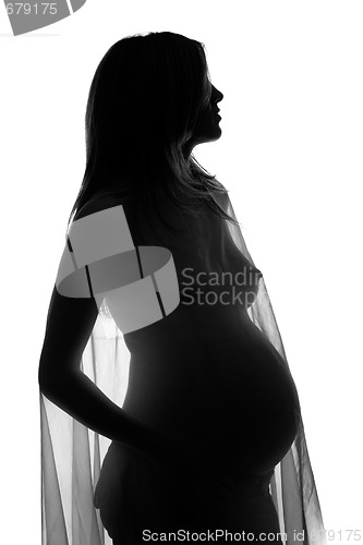 Image of pregnant woman silhouette