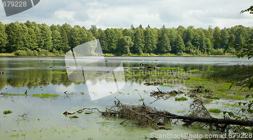 Image of Shallow reservoir with deciduous forest around