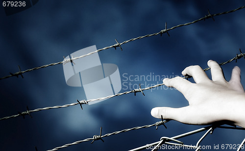 Image of Barbed Wire and a hand