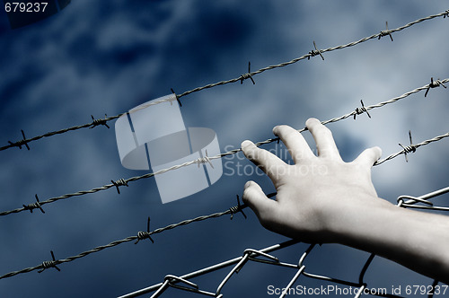 Image of Barbed Wire and a hand