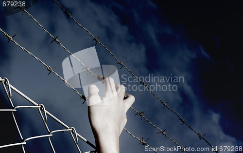 Image of Barbed Wire and a hand