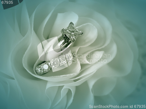 Image of Wedding Rings