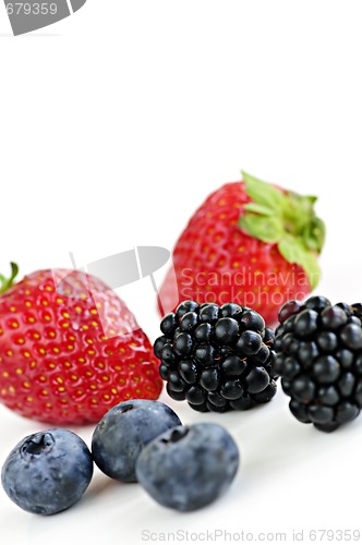 Image of Assorted fresh berries