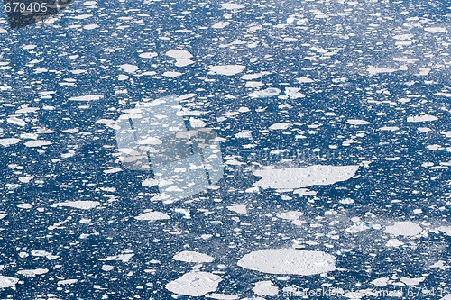 Image of Ice sheets in the ocean