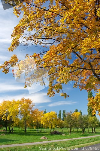 Image of Autumn
