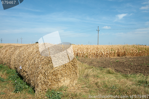 Image of Agriculture