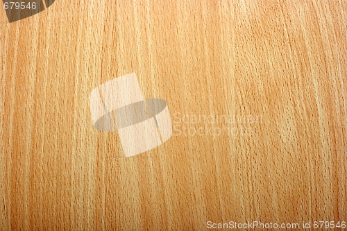 Image of Wood Texture