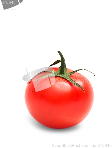 Image of Tomato