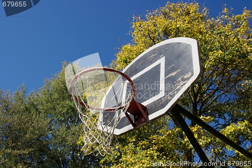 Image of Basketball Dunk