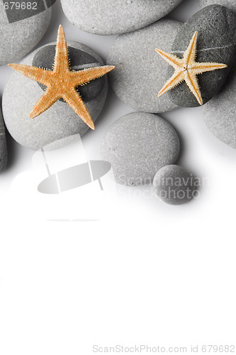 Image of Starfish on Pebbles 