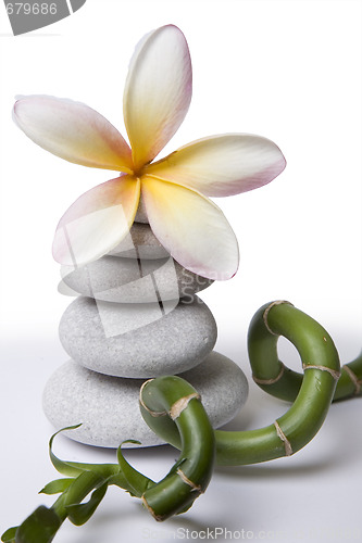 Image of Zen Still Life