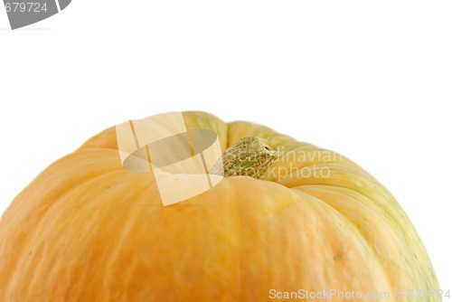 Image of pumpkin 3