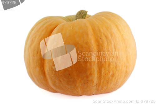 Image of pumpkin 4
