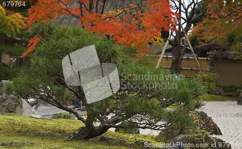 Image of Japanese garden detail