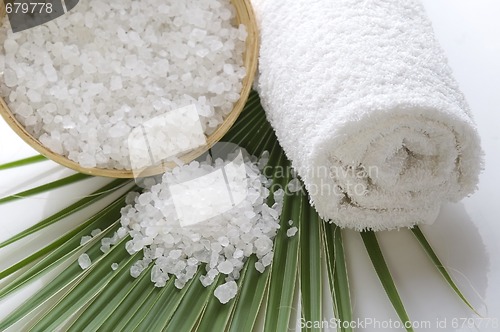 Image of bath salt and palm leaf
