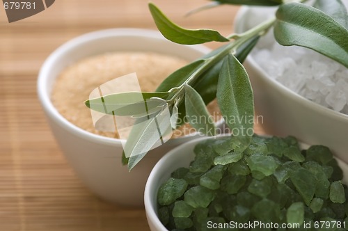 Image of fresh olive branch and bath salt. spa