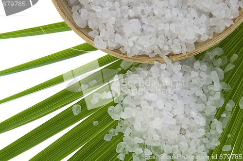 Image of bath salt and palm leaf