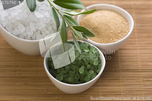 Image of fresh olive branch and bath salt. spa