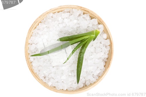 Image of bath salt and aloe vera