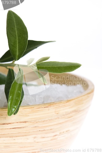 Image of fresh olive branch and bath salt. spa