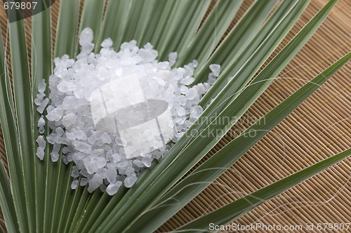 Image of bath salt and palm leaf